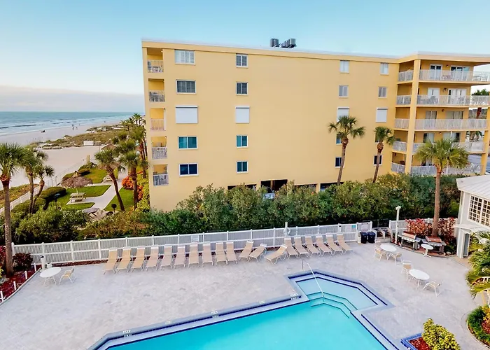 Palms 309 *
